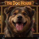 The Dog House, simbol wild, multiplier
